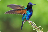 Images List Image Generator Banner Image 4